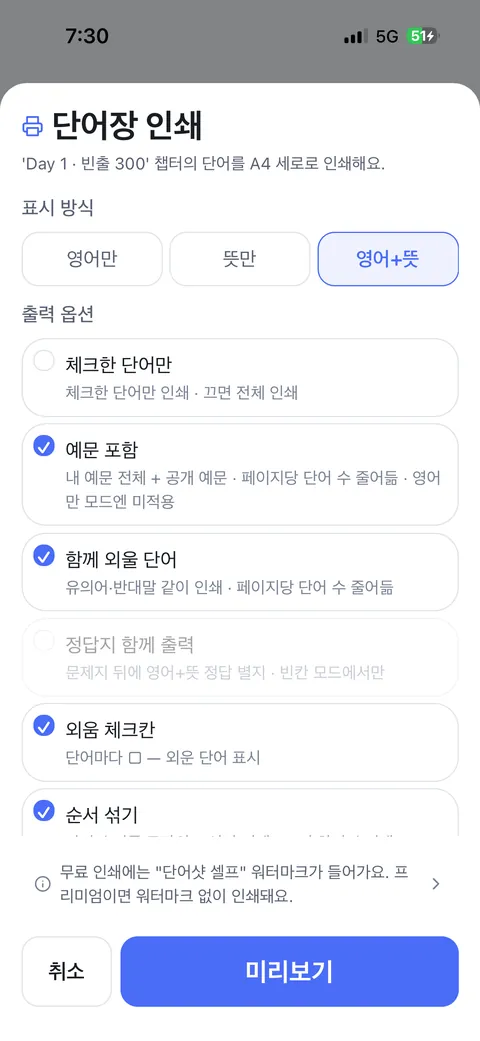 표시 방식·출력 옵션을 고르는 인쇄 화면